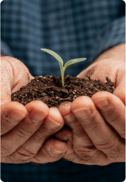 кредит для сельского хозяйства, 12-24 месяца, 1-3%